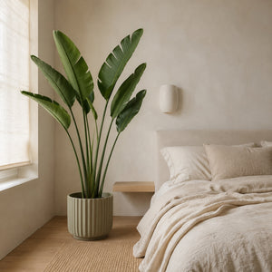 Strelitzia artificiel 150 cm dans une chambre claire, à côté d'un lit en lin