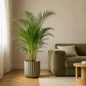 Palmier areca artificiel 130 cm dans un salon, à côté d'un canapé en velours vert