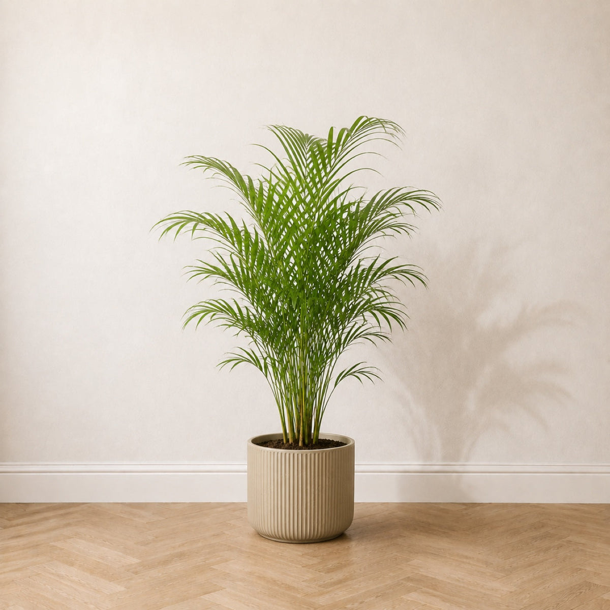 Palmier Areca artificiel 130 cm, la première pièce du Coin Jungle
