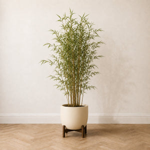 Bambou artificiel 150 cm dans un pot crème posé sur un pied en bois, sur un parquet en chêne à bâtons rompus