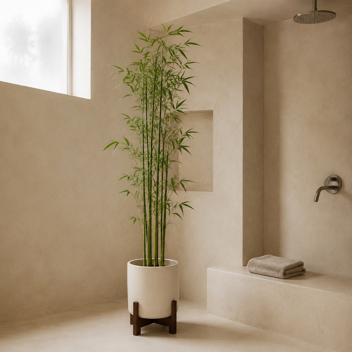 Bambou artificiel 150 cm dans une salle de bain en tadelakt beige, silhouette verticale et étroite