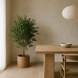 Ficus artificiel 120 cm dans une salle à manger, à côté d'une grande table en chêne