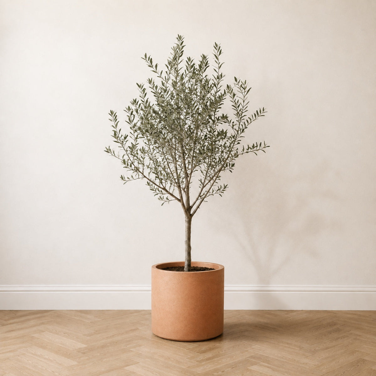 Olivier artificiel 150 cm, première pièce du Trio Signature