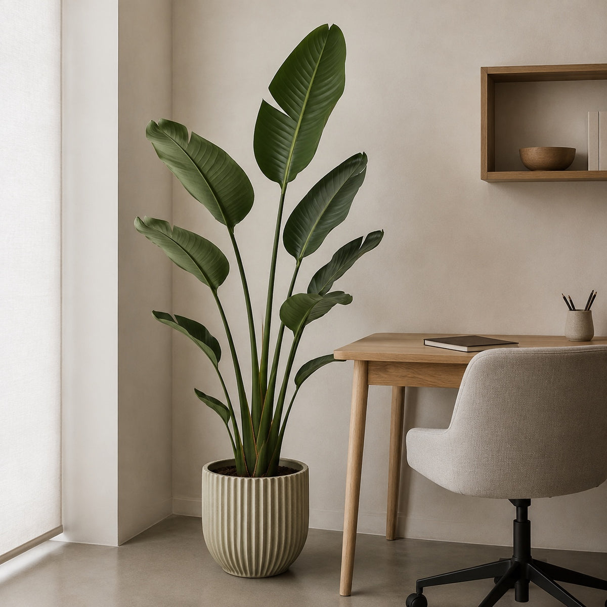 Strelitzia artificiel 150 cm dans un bureau à domicile, sol en béton ciré et bureau en bois clair