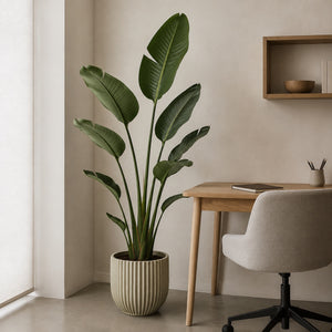 Strelitzia artificiel 150 cm dans un bureau à domicile, sol en béton ciré et bureau en bois clair